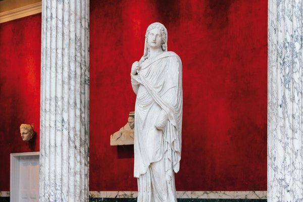 Croquettes pour jeune chien : la clé d'une croissance optimale